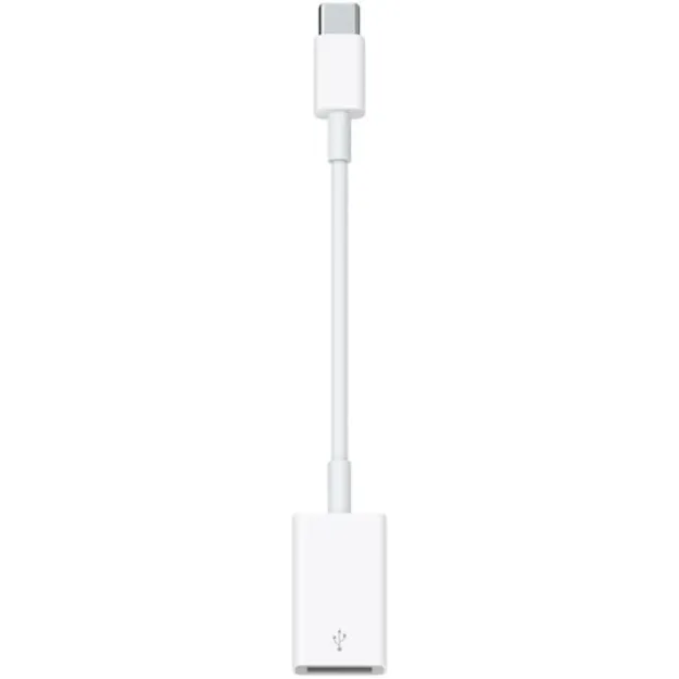 Picture of USB-C to USB Adapter