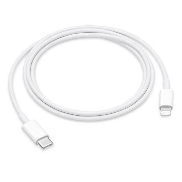 Picture of USB-C to Lightning Cable