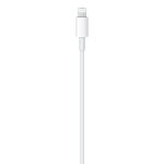 Picture of USB-C to Lightning Cable