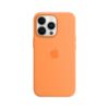 Picture of iPhone 13 Pro Silicone Case with MagSafe